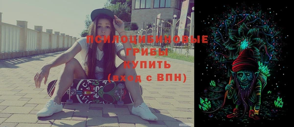 хмурый Алексеевка