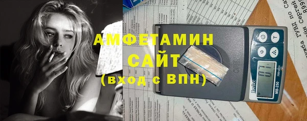 гидра Новодвинск